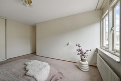 Tormentil 5 Castricum De Groot 38.JPG
